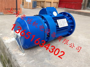 中研技術專業(yè)生產紫光剎車電機